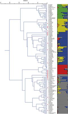 Genetic Characterization of the Apple Germplasm Collection in Central Italy: The Value of Local Varieties